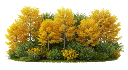 A hyperrealistic, dense cluster of vivid yellow ginkgo and green maples, sharply isolated as a cutout element against a stark white background. Concept for landscape architecture visualization