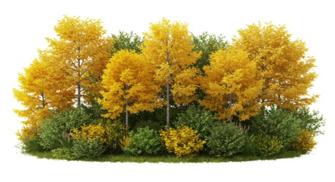 A hyperrealistic, dense cluster of vivid yellow ginkgo and green maples, sharply isolated as a cutout element against a stark white background. Concept for landscape architecture visualization