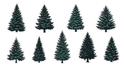 Obraz premium Set of nine realistic evergreen fir trees with detailed dark green foliage, illustrated in various shapes and sizes for forest landscapes.