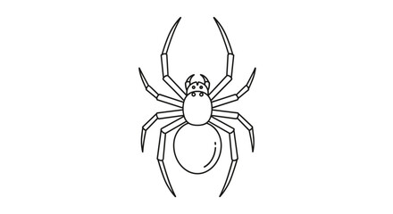 Symmetrical top-down view of a spider, illustrated in a clean and simple black and white outline style for icons or coloring pages.