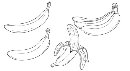 Collection of four banana illustrations in a black and white line art style, showing single bananas, a bunch, and one being peeled.