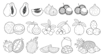 Large set of various tropical fruits illustrated in a detailed black and white engraving style, including papaya, mango, and pineapple.
