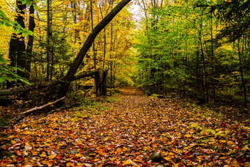 View of the landscape in Cape Porpoise, Maine USA