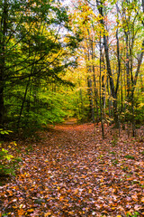 View of the landscape in Cape Porpoise, Maine USA