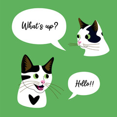 Vector illustration of two talking black and white cats