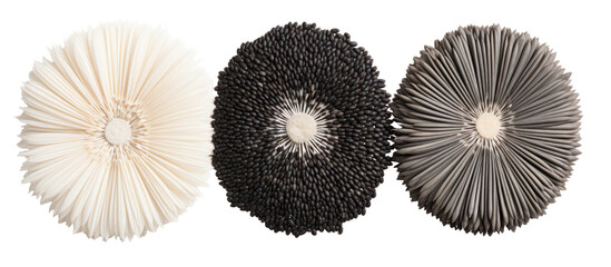 Three piles of poppy chia and sunflower seeds side by side overhead on transparent background