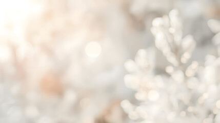 white snow on the snow