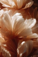 Warmly Lit Dried Corn Husk Flowers - Delicate Petals and Organic Textures.