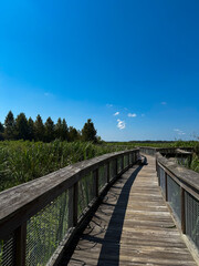 Fototapeta premium wooden bridge over the river