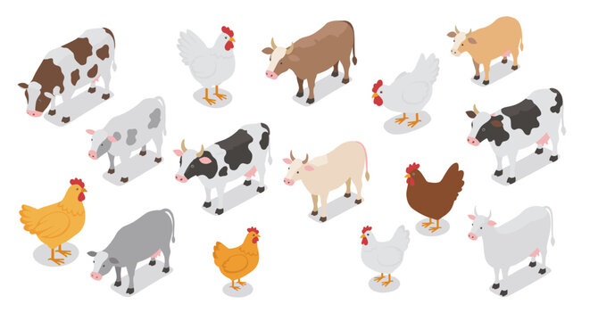 Isometric farm animals collection featuring cows and chickens
