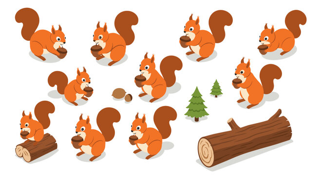 Cute squirrels collecting nuts and exploring the forest in isometric cartoon style