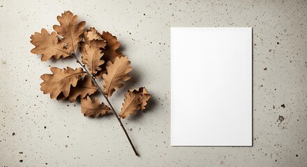 Blank white canvas next to a branch of dried oak leaves on a textured gray concrete background.