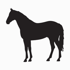 Horse and Woman Walking Side by Side Silhouette