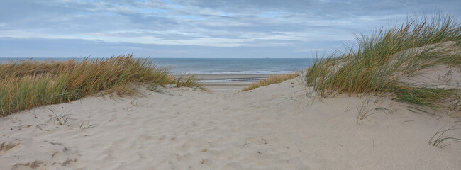Serene sandy path leads to calm ocean waves under a cloudy sky near the beach