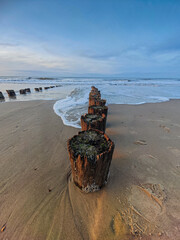Weathered wooden posts stand sentinel on a quiet beach at sunset by the ocean