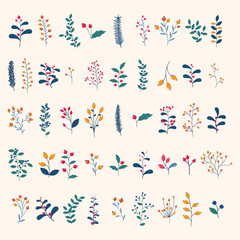 Set of wild and garden berries with branches and leaves. Winter botanical vector set. Winter floral elements. Holiday decoration and design