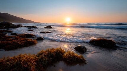 A serene sunset casts a golden glow over a rocky seaweed strewn beach with gentle waves lapping the shore