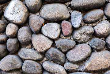 Natural Rough Stone Wall Texture Background with Various Shape and Color