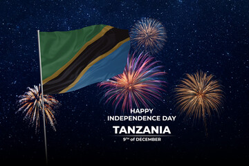 National flags of Tanznia in night sky with stars and fireworks