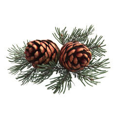Fototapeta premium Pinecones and green fir branches for Christmas decoration isolated