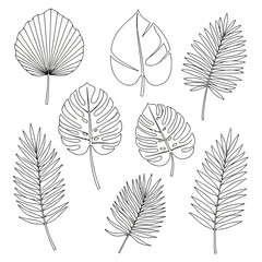 Set of tropical leaves isolated on, hand drawn vector illustration palm, monstera, banana leaves outline drawing
