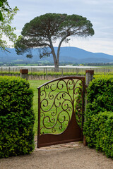 Wrought iron gate in the Yarra Valley - Coldstream, Victoria, Australia