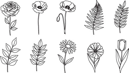 Floral Line Art Collection Elegant Botanical Designs for Creative Projects