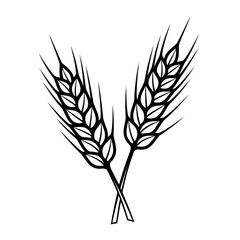 Obraz premium Two wheat stalks crossed isolated on, a symbol of agriculture and harvest, representing grain, bread, and rural life
