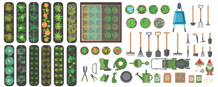 Top view of vegetable beds of tomatoes, cucumbers, cabbage, zucchini, pumpkin and garden tools. Flat design illustration of isolated items for gardening. View from above. Set of icons. Aerial