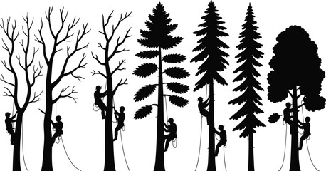 Silhouettes of arborists climbing various trees with ropes in a black and white minimalist forest illustration
