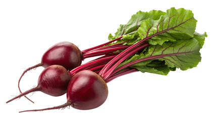 Freshly harvested beets with vibrant green tops add color and nutrition to healthy recipes and culinary creations for discerning chefs