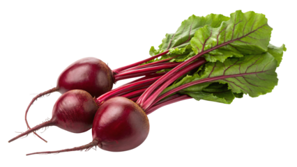 Freshly harvested beets with vibrant green tops add color and nutrition to healthy recipes and culinary creations for discerning chefs