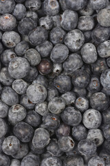 A full-frame, close-up view shows a dense, dark pile of fresh blueberries with a natural dusty bloom covering their surface