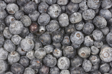 A full-frame, close-up view shows a dense, dark pile of fresh blueberries with a natural dusty bloom covering their surface