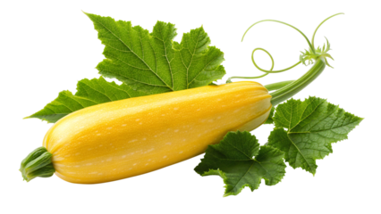 Fresh yellow zucchini squash with vibrant green leaves, perfect for healthy recipes and summer dishes on culinary blogs and eco-friendly websites