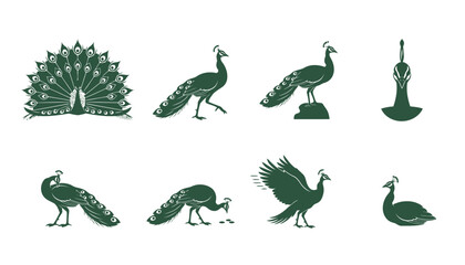 Elegant peacock bird silhouettes showcasing various poses, including fanned tail feathers, walking, and standing, perfect for nature and exotic themes.