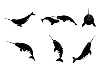 Narwhal Whale Vector Silhouettes: Set of Black Icons of Arctic Sea Mammals with Tusk in Various Swimming Poses © Zhangxiao