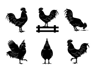 Rooster and Cock Bird Vector Silhouettes: Set of Black Icons of Farm Poultry in Various Poses Including Standing on Fence and Pecking