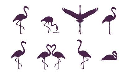 Fototapeta premium Set of Flamingo Icons Vector Illustration, featuring Wading Bird Silhouettes in Various Poses including Standing, Feeding, and Spreading Wings