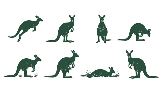 Set of Kangaroo Icons Vector Illustration, featuring Australian Marsupial Silhouettes in Various Poses like Hopping, Standing, and Carrying a Joey