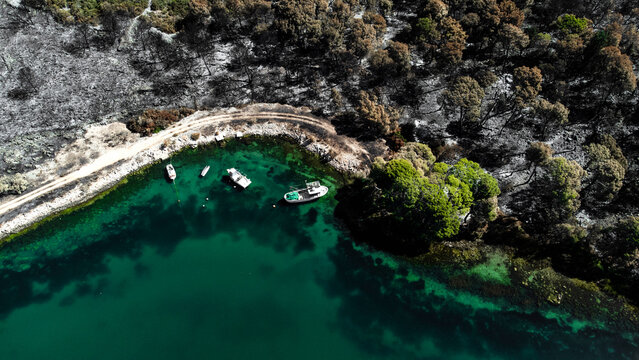 Aerial view of turquoise waters meet scorched earth and vibrant green trees along the coast, creating a stark contrast of life and destruction, Zaton, Zadar County, Croatia.