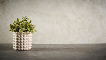 A festive Christmas scene featuring classic wooden nutcracker figurines, decorative ornaments, and a blank greeting card on a textured background, perfect for holiday promotions.