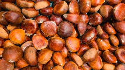 Fresh chestnuts close-up with glossy brown shells