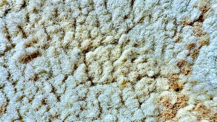 macro view of delicate white fiberglass insulation filling frame with subtle golden stains texture background