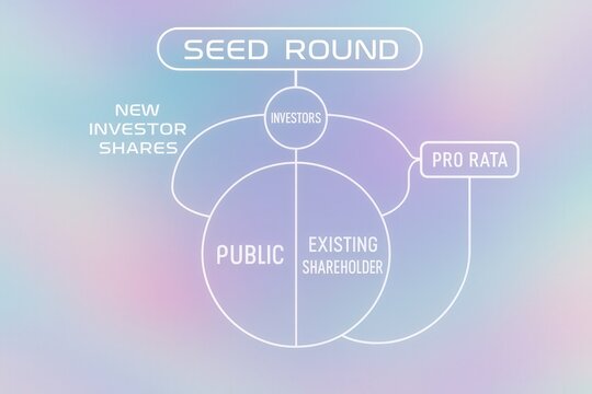 Visual representation of seed funding dynamics outlining new investor share allocation alongside pro rata options for existing shareholders in a cohesive easy to understand graphical format