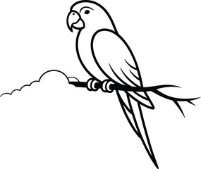 Fototapeta premium Black and white parrot on a branch with cloud bird