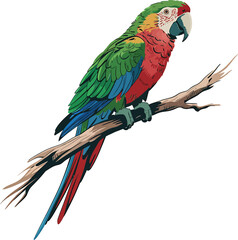 Fototapeta premium Colorful Macaw Parrot Perched on a Branch bird tropical