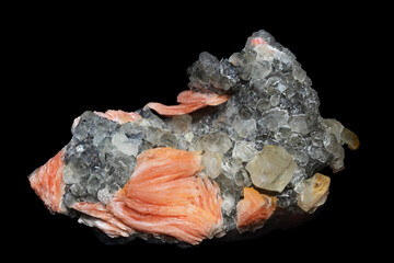 Natural barite mineral features soft orange blades within transparent crystals forming elegant textures and refined mineral composition under light.