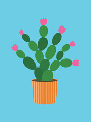 Pink Flowering Christmas Cactus in Orange Ribbed Pot on Bright Blue Background - Vector