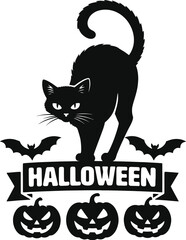 Black cat with white background